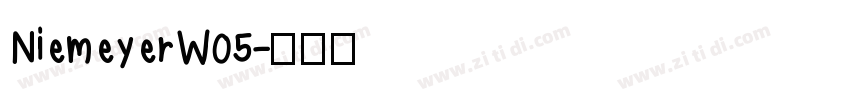 NiemeyerW05字体转换