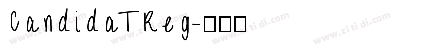 CandidaTReg字体转换
