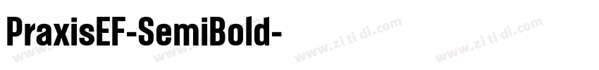 PraxisEF-SemiBold字体转换