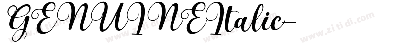 GENUINEItalic字体转换 GENUINEItalic字体转换