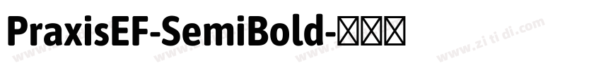 PraxisEF-SemiBold字体转换