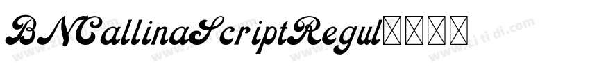 BNCallinaScriptRegul字体转换 BNCallinaScriptRegul字体转换