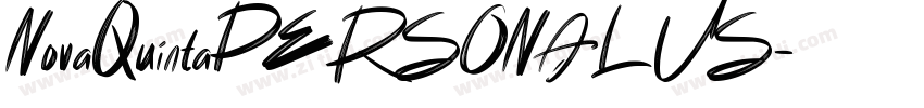 NovaQuintaPERSONALUS字体转换