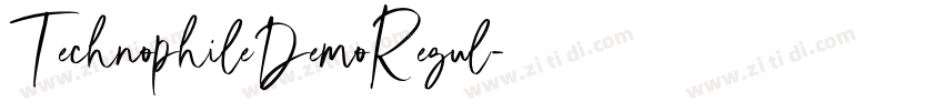 TechnophileDemoRegul字体转换