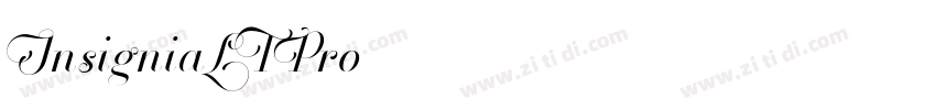 InsigniaLTPro字体转换