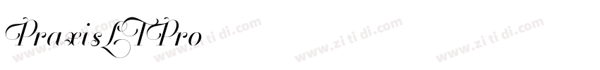PraxisLTPro字体转换
