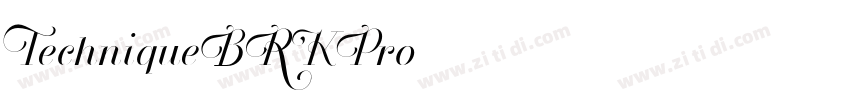 TechniqueBRKPro字体转换