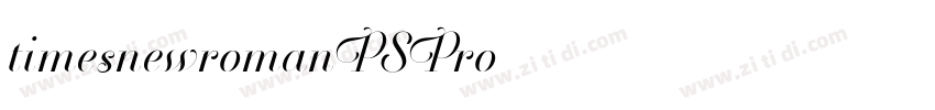 timesnewromanPSPro字体转换