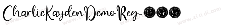 CharlieKaydenDemoReg字体转换