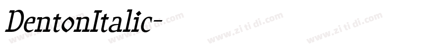 DentonItalic字体转换 DentonItalic字体转换