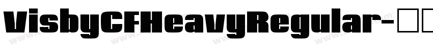 VisbyCFHeavyRegular字体转换