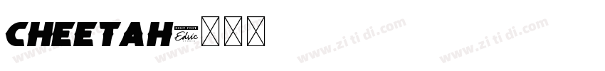 cheetah字体转换