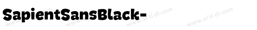 SapientSansBlack字体转换