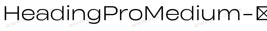 HeadingProMedium字体转换