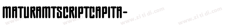 MaturaMTScriptCapita字体转换