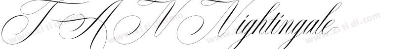 TANNightingale字体转换