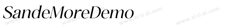 SandeMoreDemo字体转换