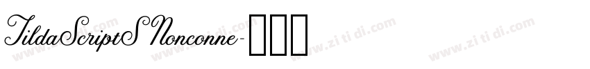 TildaScriptSNonconne字体转换