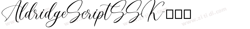 AldridgeScriptSSK字体转换