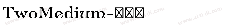 TwoMedium字体转换 TwoMedium字体转换