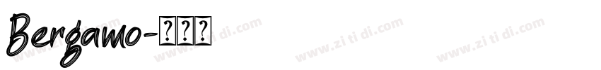 Bergamo字体转换