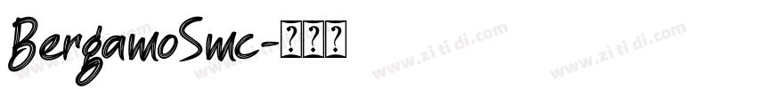 BergamoSmc字体转换