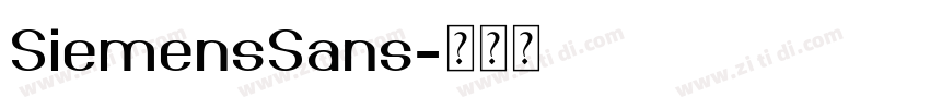 SiemensSans字体转换 SiemensSans字体转换