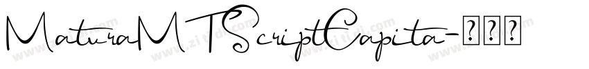 MaturaMTScriptCapita字体转换