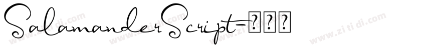 SalamanderScript字体转换