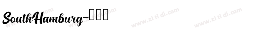 SouthHamburg字体转换
