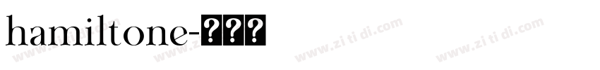 hamiltone字体转换