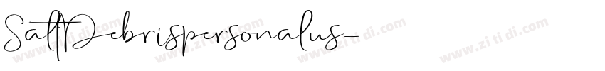 SaltDebrispersonalus字体转换