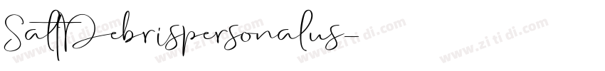 SaltDebrispersonalus字体转换