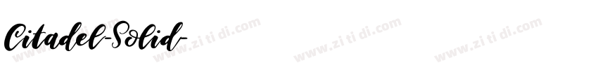 Citadel-Solid字体转换