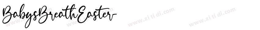BabysBreathEaster字体转换