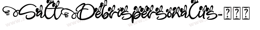 SaltDebrispersonalus字体转换