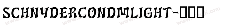 SchnyderCondMLight字体转换