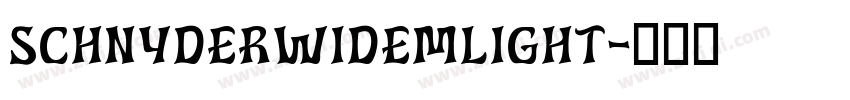 SchnyderWideMLight字体转换