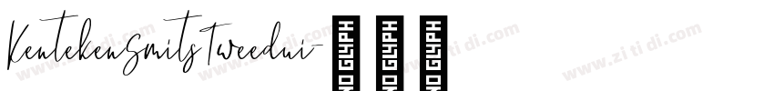 KentekenSmitsTweedui字体转换