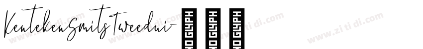 KentekenSmitsTweedui字体转换