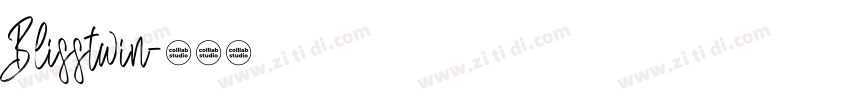 Blisstwin字体转换