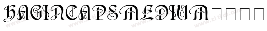 HaginCapsMedium字体转换