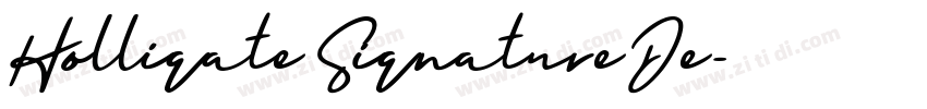 HolligateSignatureDe字体转换