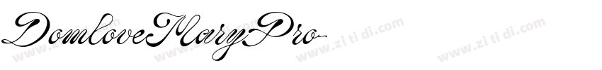 DomloveMaryPro字体转换