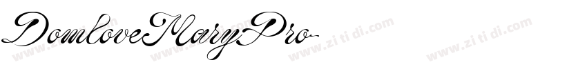 DomloveMaryPro字体转换