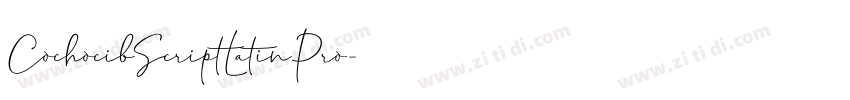CochocibScriptLatinPro字体转换