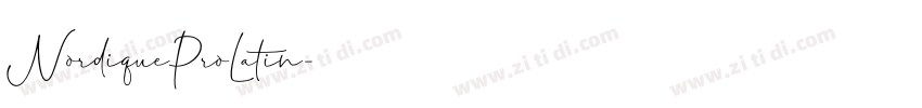 NordiqueProLatin字体转换 NordiqueProLatin字体转换