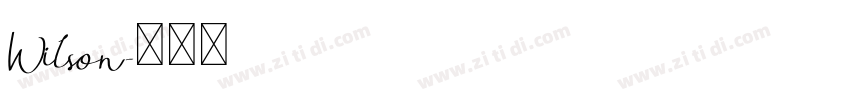 Wilson字体转换