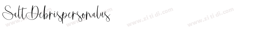 SaltDebrispersonalus字体转换
