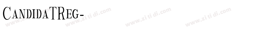 CandidaTReg字体转换